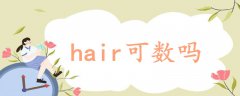 hair可数吗